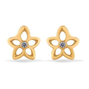 Buy 22 Karat Gold Earrings