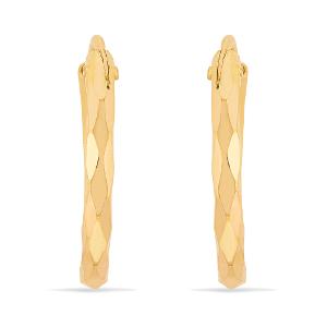 Buy 22 Karat Gold Earrings