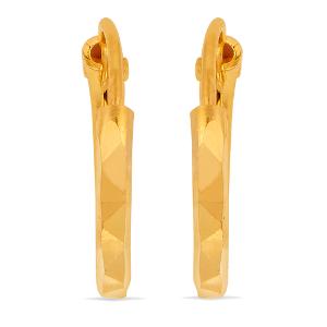 Buy 22 Karat Gold Earrings