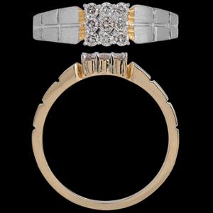 Buy 14 Karat Gold & Diamond Ring