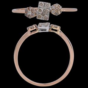 Buy 14 Karat Gold & Diamond Ring