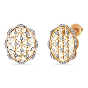 Buy 14 Karat Gold & Diamond Earrings