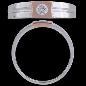 Buy 18 Karat Gold & Diamond Ring