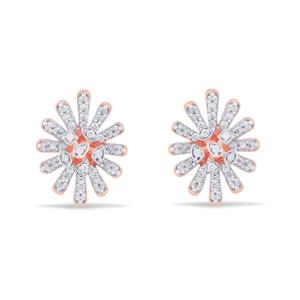 Buy 14 Karat Gold & Diamond Earrings