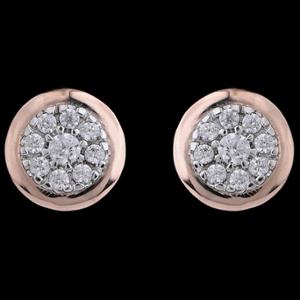 Buy 14 Karat Gold & Diamond Earrings