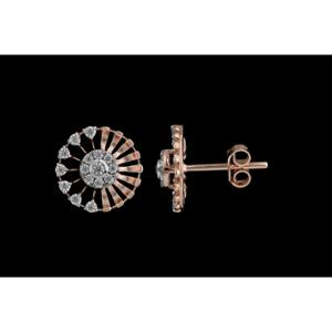 Buy 18 Karat Gold & Diamond Earrings