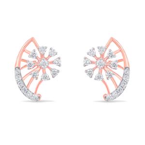 Buy 14 Karat Gold & Diamond Earrings
