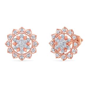 Buy 14 Karat Gold & Diamond Earrings